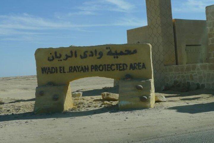 Day Tour to El Fayoum from Cairo