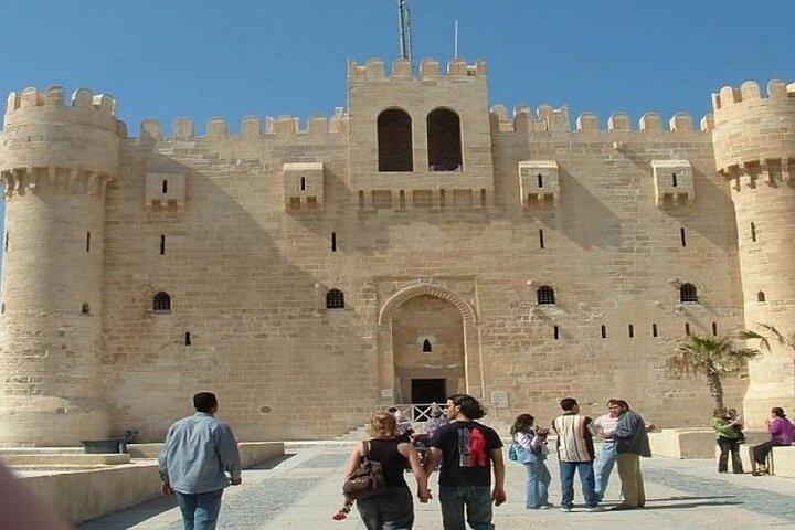 Full private day trip to Alexandria