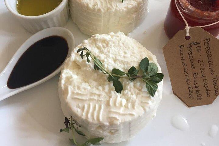 Semi Private tasting and Cheese-making Class in Florence