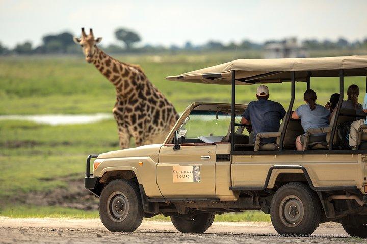 Chobe Day Trip, Botswana Ex Victoria falls or Livingstone