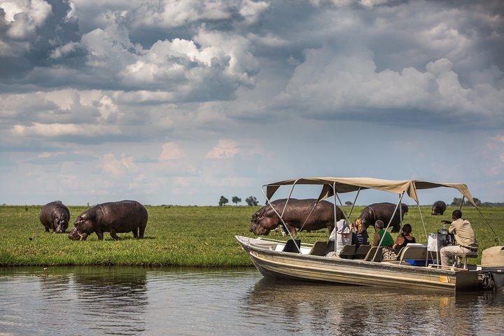 Chobe Day Trip, Botswana Ex Victoria falls or Livingstone