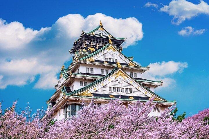Osaka Private Cherry Blossom Tour with a Local – Picnic Included