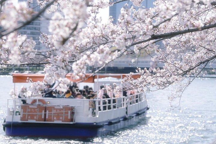 Osaka Private Cherry Blossom Tour with a Local – Picnic Included