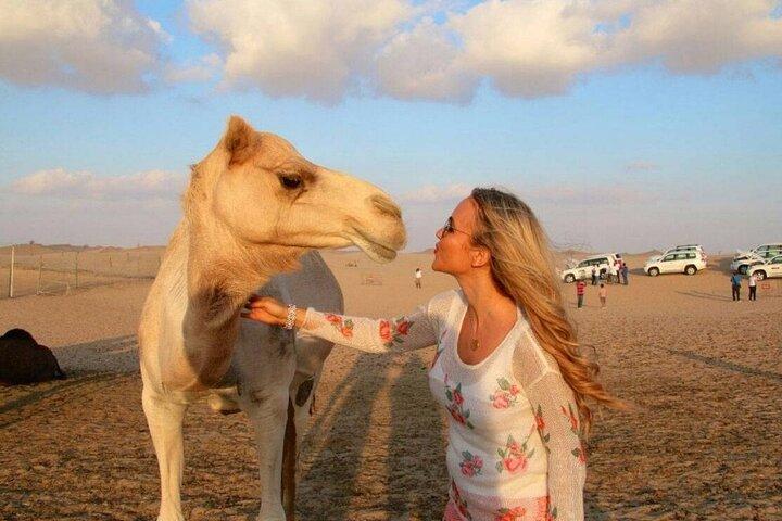 Dubai Desert Safari with Camel Riding, Sand Boarding,BBQ Dinner and 3 Live Shows