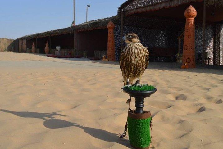 Dubai Desert Safari with Camel Riding, Sand Boarding,BBQ Dinner and 3 Live Shows