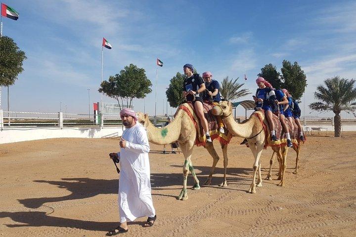 Dubai Desert Safari with Camel Riding, Sand Boarding,BBQ Dinner and 3 Live Shows