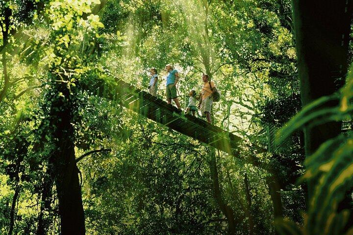 Lamington National Park, O'Reilly's & Vineyard Tour