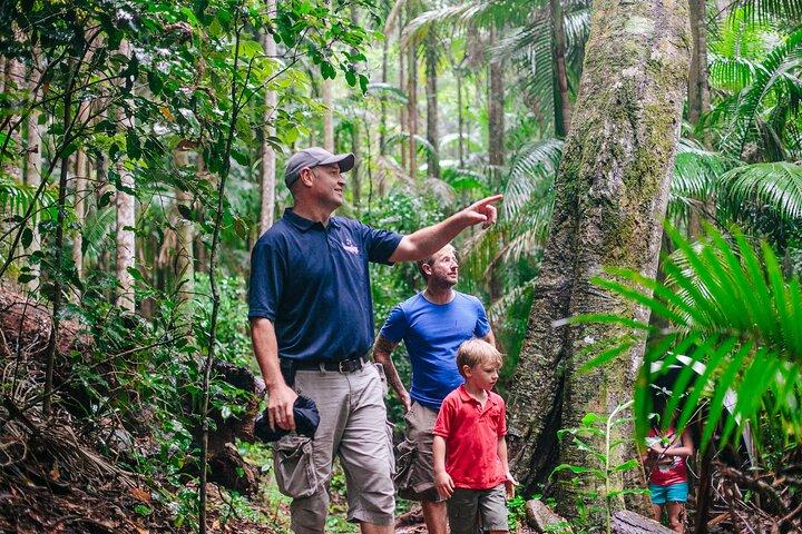 Lamington National Park, O'Reilly's & Vineyard Tour