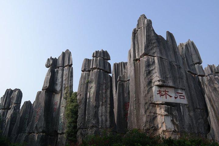 1 Day Stone Forest and Jiuxiang Cave with Roast Duck - Charge by Vehicle
