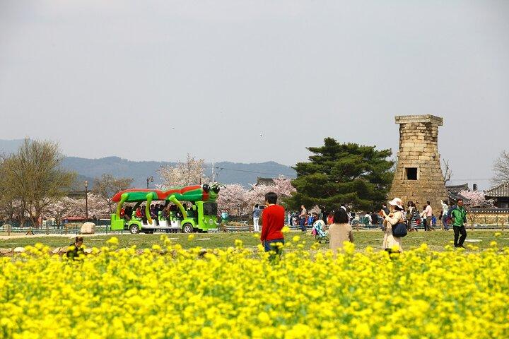 2-Day Gyeongju Rail Tour from Seoul