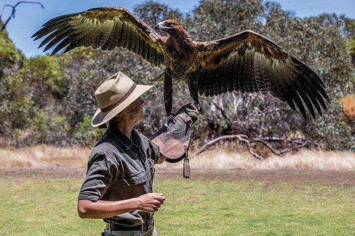 One Day Kangaroo Island Sip & See tour with return ferry transfers from Adelaide