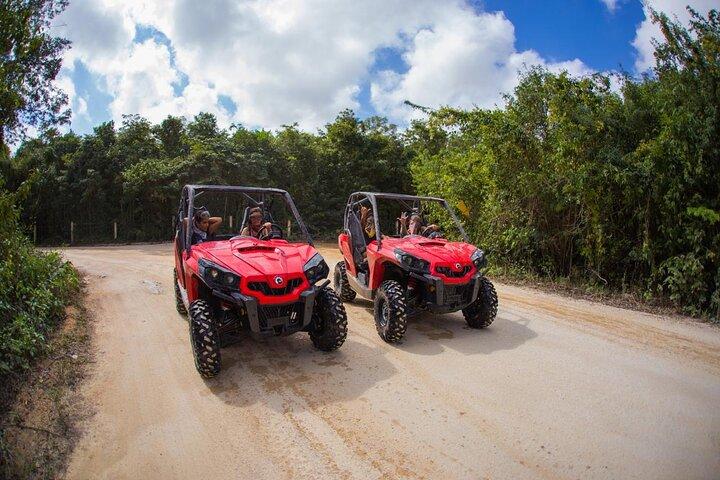 Jungle Buggy Tour from Playa del Carmen Including Cenote Swim