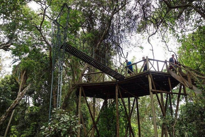 1 Day Ngare Ndare Forest From Nairobi by Jeep (minimum 2 Pax)