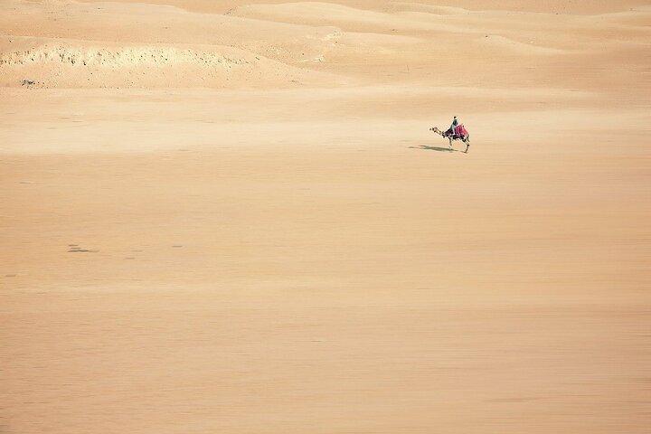 Sunset Safari Tour By Horse or Camel Ride