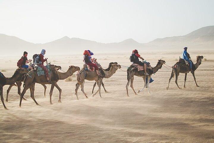 Sunset Safari Tour By Horse or Camel Ride