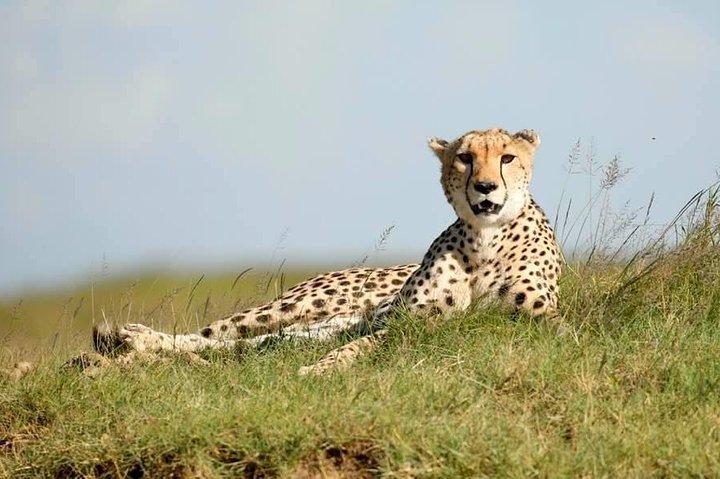 6-Day Big Five Magic Safari Tour
