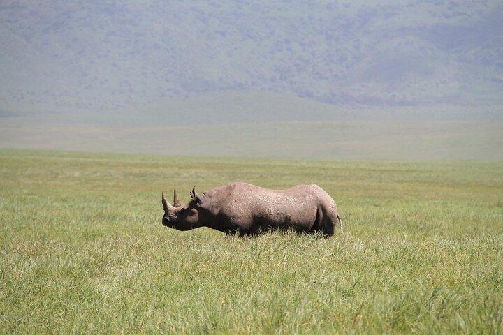 6-Day Big Five Magic Safari Tour