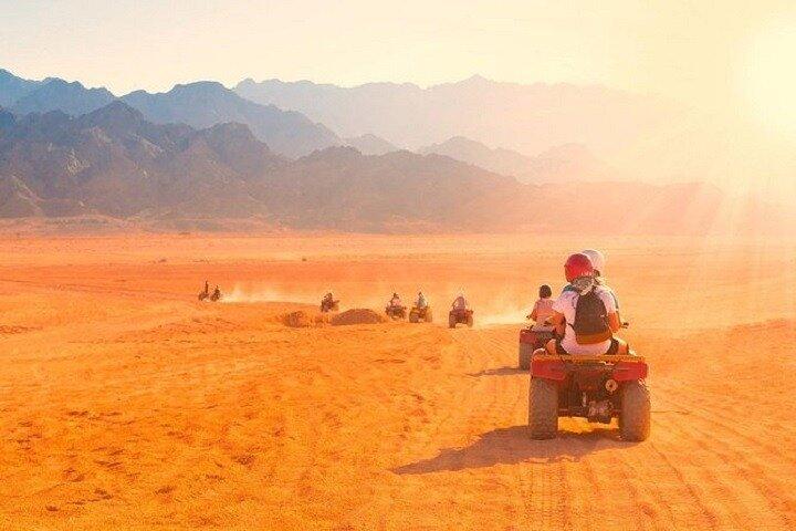Safari in Luxor
