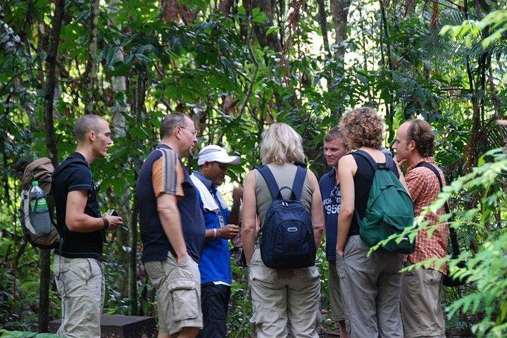 4-Day Jungle Experience in Taman Negara from Kuala Lumpur