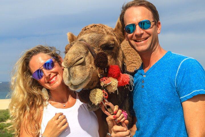 Cabo Camel Ride Experience