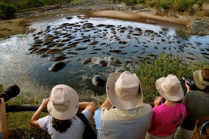 5 Days Classic Safari to Lake Manyara, Ngorongoro and Serengeti