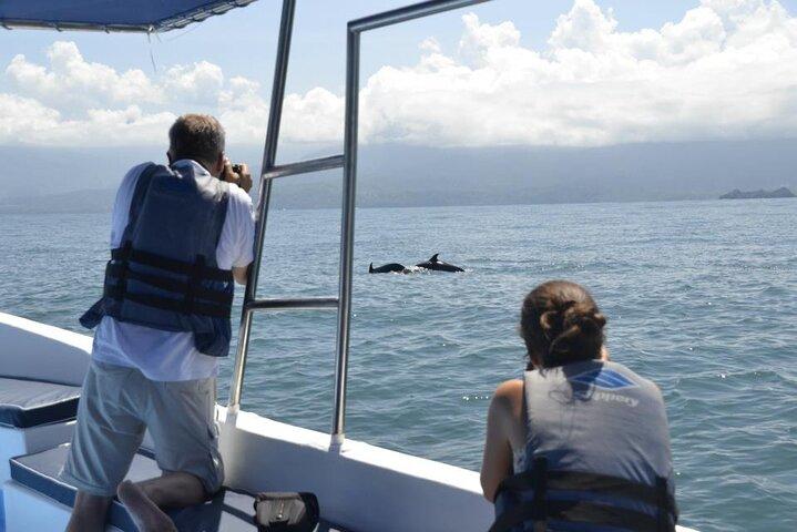 Whales and Dolphins watching Tour From Uvita
