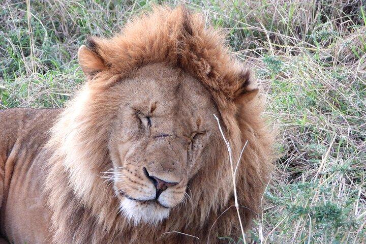 7 Days GAME DRIVE IN THE FAMOUS KENYAN PARKS
