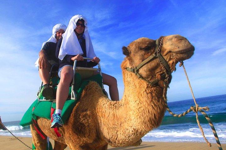 Cabo Camel and Safari Ride