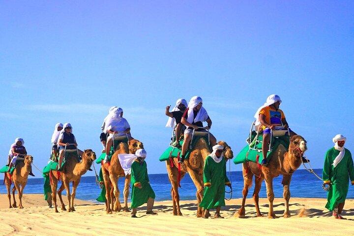 Cabo Camel and Safari Ride