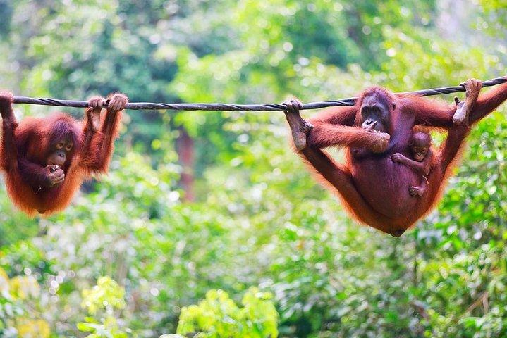 Malaysia: A'famosa Melaka Ticket