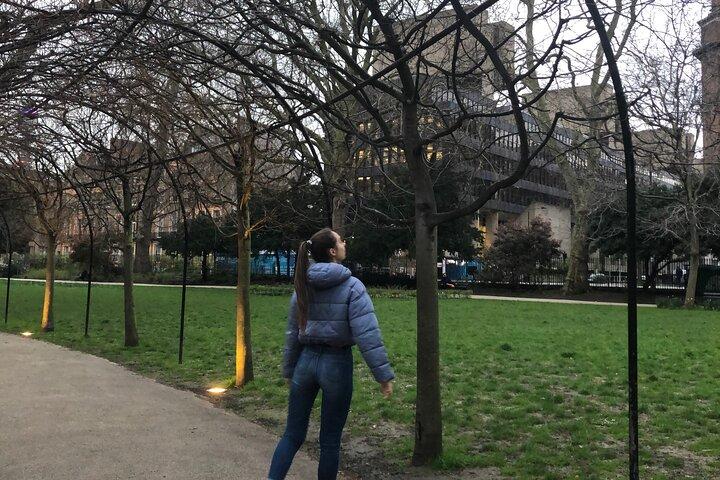 Private London Tour - British Museum, Trafalgar Square, Big Ben, Downing Street