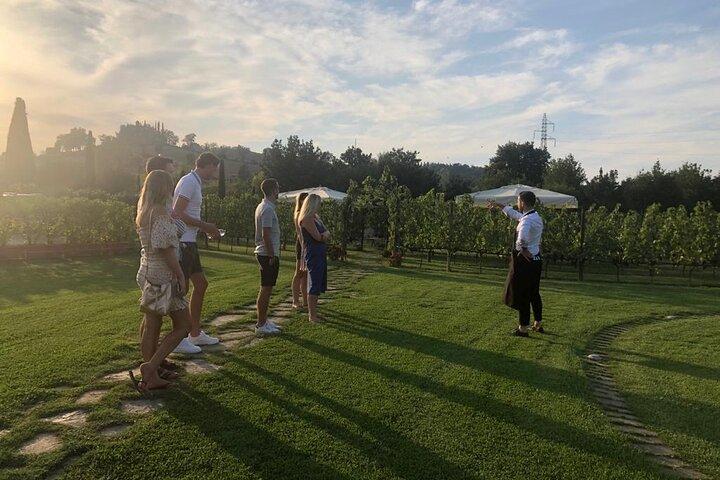 Chianti and San Gimignano - 2 Wineries with Pairing Lunch