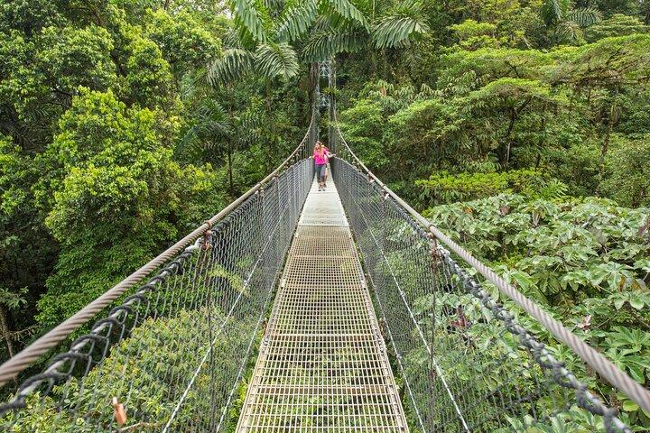 Zipline & Hanging Bridges Adventure Tour in La Fortuna