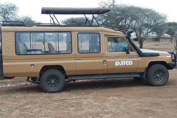 2-Day Manyara and Ngorongoro Crater lodge safari and Game Drive