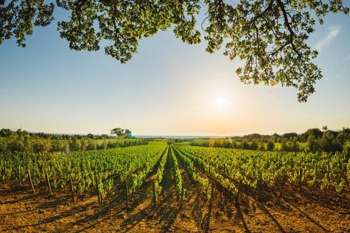 Siena & San Gimignano: Exclusive Tuscany Day Trip from Florence