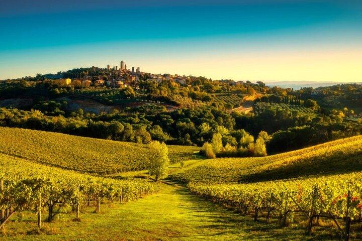 Siena & San Gimignano: Exclusive Tuscany Day Trip from Florence