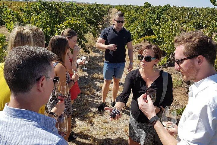 Micro-Group Barossa Valley Wine Tour from Adelaide