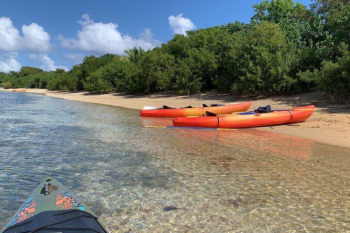 Best Puerto Rico Kayak & Snorkeling Tour-Eco Adventure