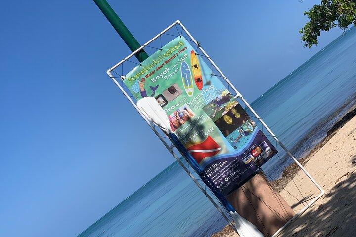 Best Puerto Rico Kayak & Snorkeling Tour-Eco Adventure