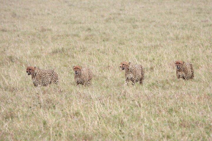 3 Days Camping in the Masai Mara Game Reserve