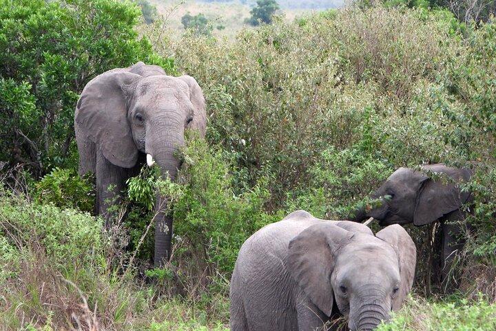 7 Days Kenya Scenic Safari