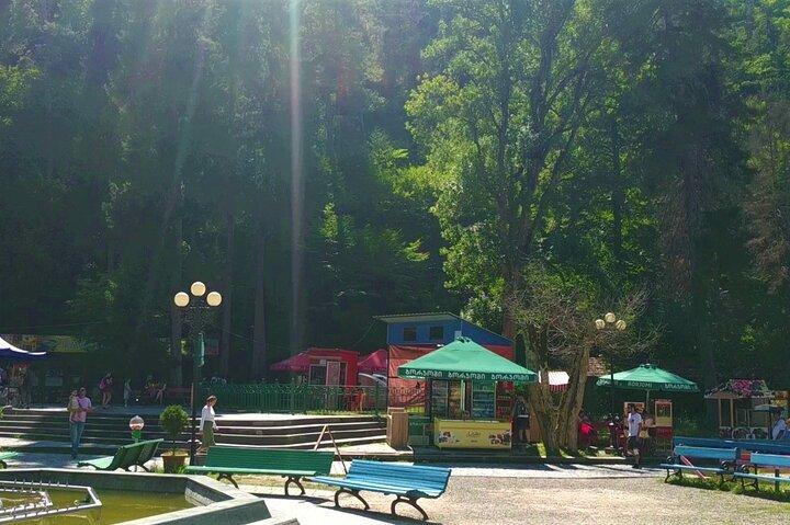 Vardzia Tour from Tbilisi with Rabati Castle and Borjomi Park