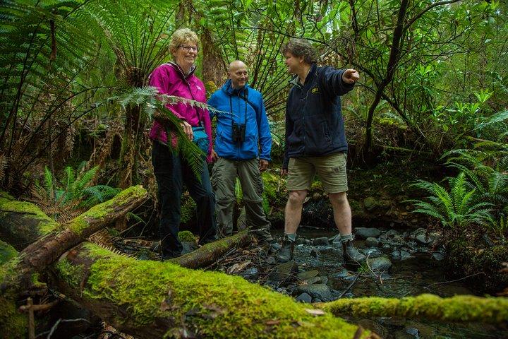Bruny Island Traveller - Gourmet Tasting and Sightseeing Day Trip from Hobart