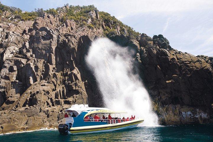 Bruny Island Wilderness Cruise from Adventure Bay, Bruny Island