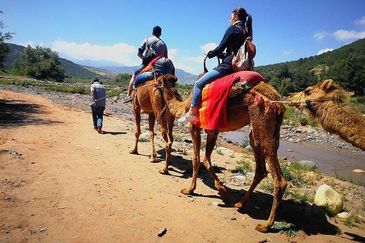 Marrakech: Atlas Mountains & Berber Villages Tour & Camel Ride