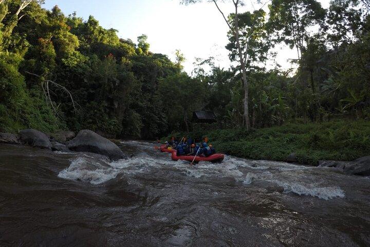 Bali Rafting Ubud