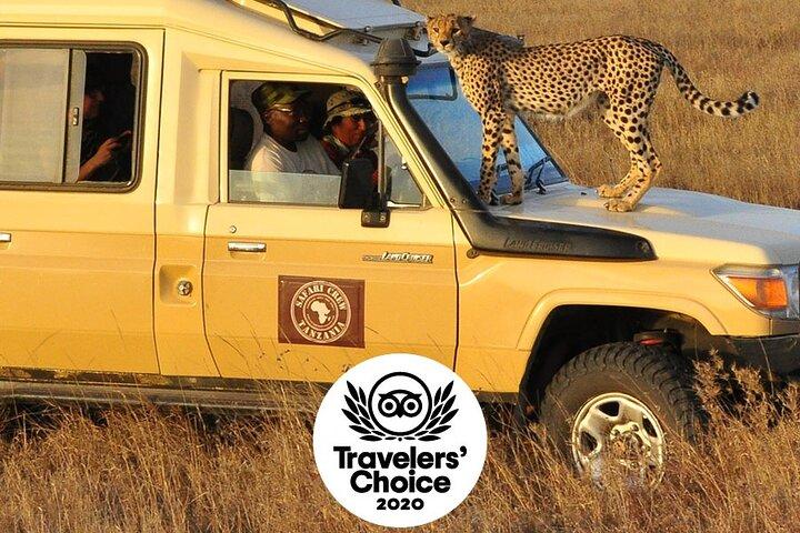 Safari in Tanzania 5 days: Manyara, Ngorongoro, Serengeti