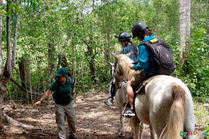 Xunantunich horseback riding tour