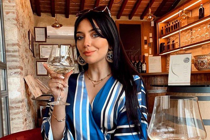 Chianti and San Gimignano - 2 Wineries with Pairing Lunch