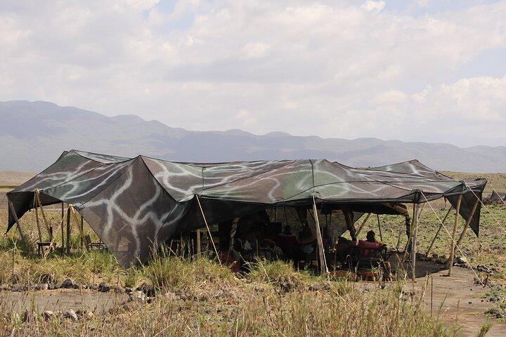 Best 5 Days Tanzania Private Luxury Safari with luxury Lodges